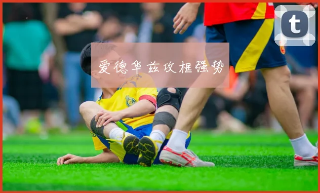 爱德华兹攻框强势