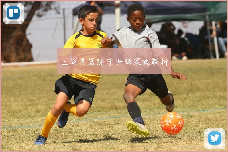 上海男篮防守升级策略解析