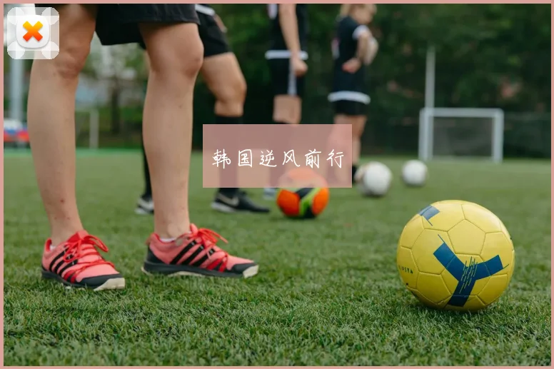 韩国逆风前行