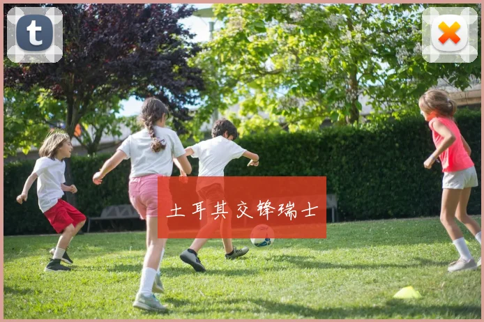 土耳其交锋瑞士