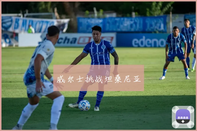 威尔士挑战坦桑尼亚
