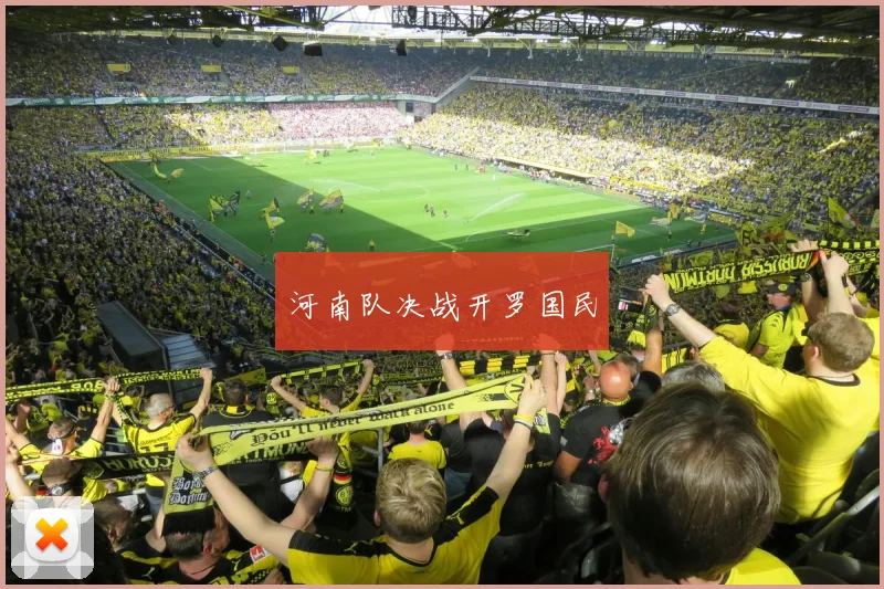 河南队决战开罗国民