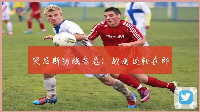 突尼斯防线告急：战局逆转在即