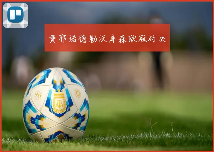 费耶诺德勒沃库森欧冠对决