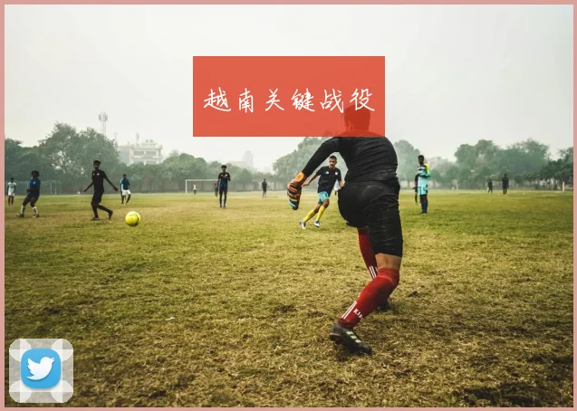 越南关键战役
