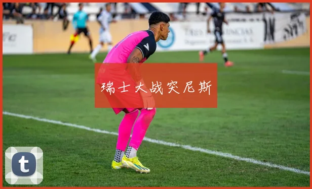瑞士大战突尼斯