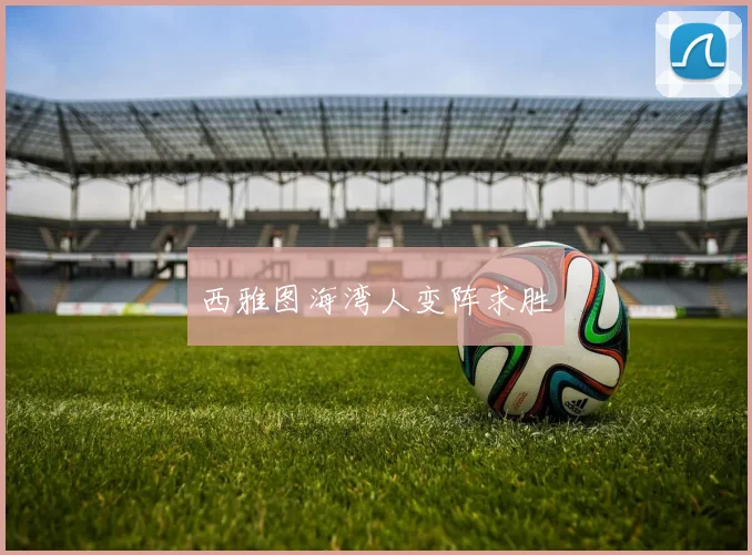 西雅图海湾人变阵求胜