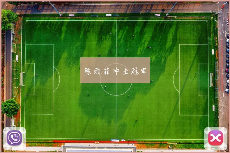 陈雨菲冲击冠军