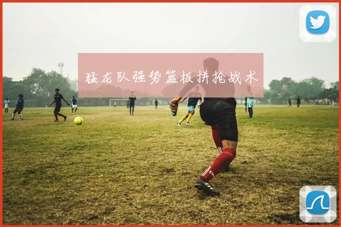 猛龙队强势篮板拼抢战术