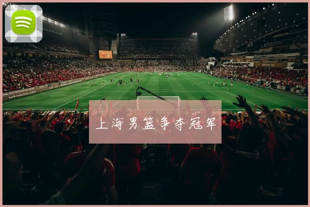 上海男篮争夺冠军