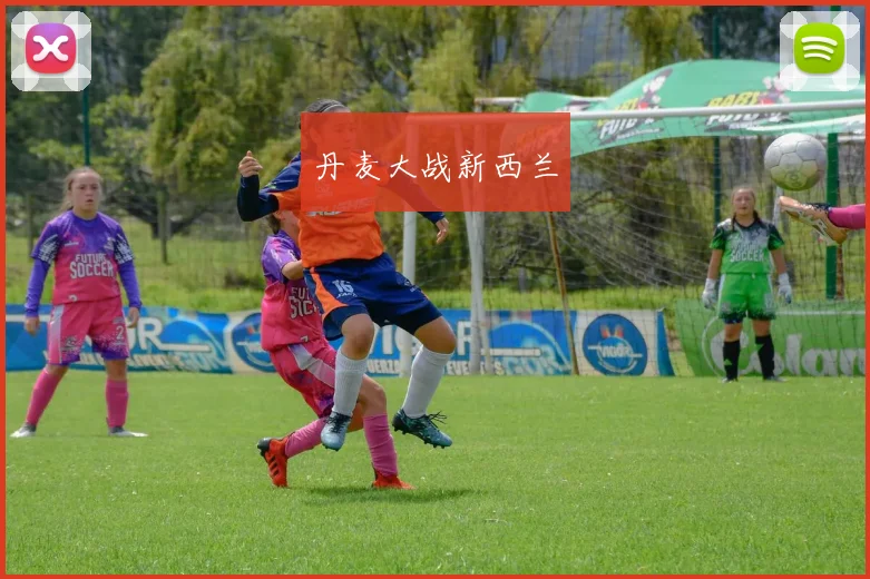 丹麦大战新西兰