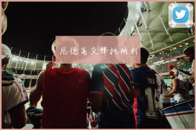 厄德高交锋托纳利