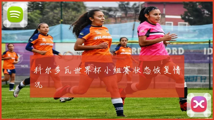 科尔多瓦世界杯小组赛状态恢复情况