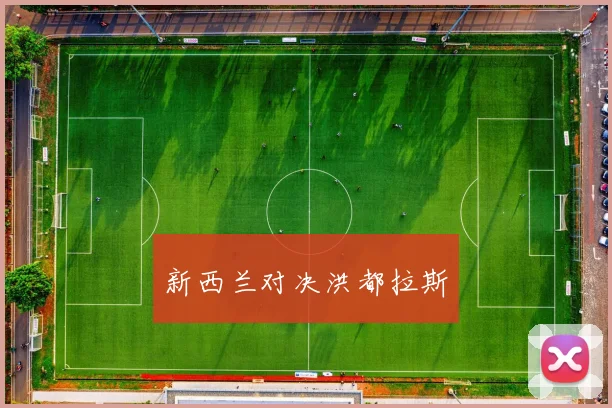 新西兰对决洪都拉斯