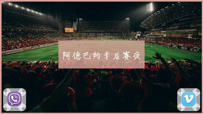 阿德巴约季后赛夜