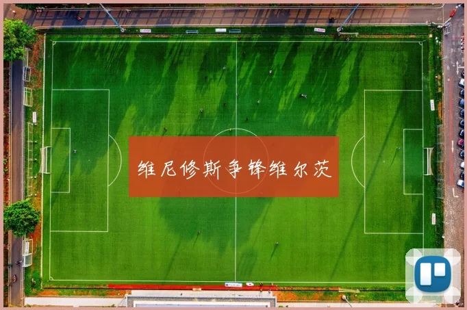 维尼修斯争锋维尔茨