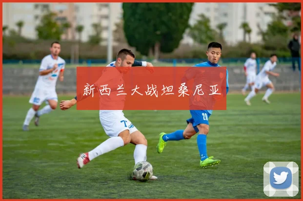 新西兰大战坦桑尼亚