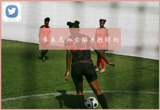 多米尼加女排决胜时刻