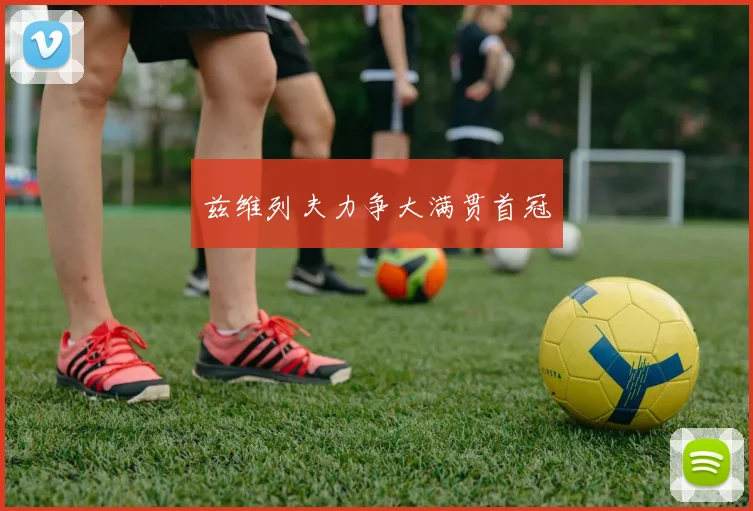 兹维列夫力争大满贯首冠