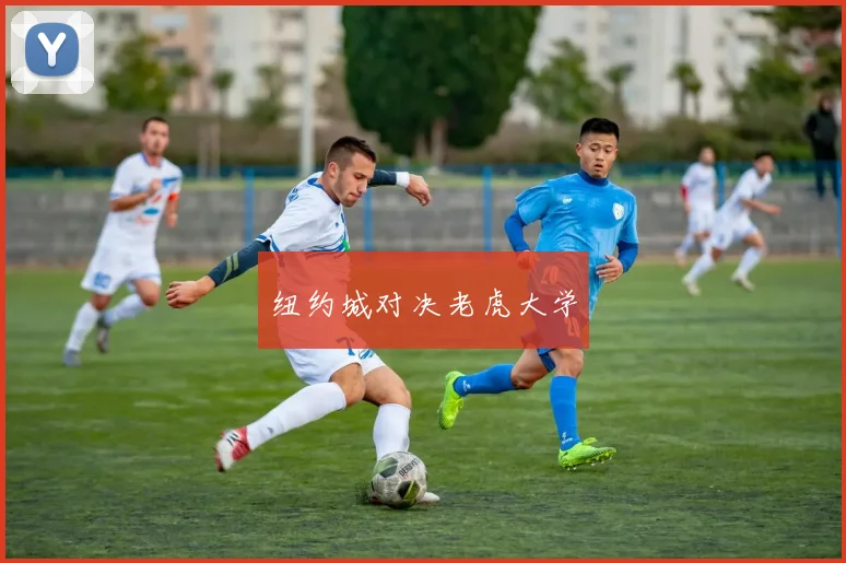 纽约城对决老虎大学