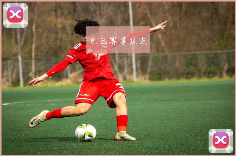 巴西赛事焦点