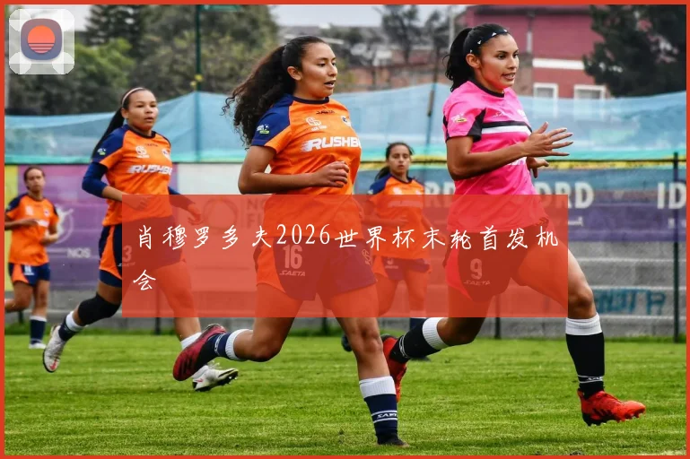 肖穆罗多夫2026世界杯末轮首发机会