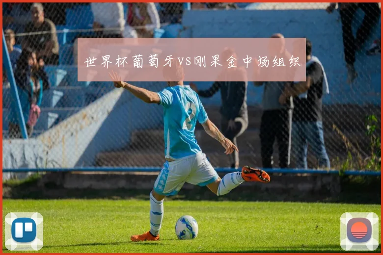 世界杯葡萄牙vs刚果金中场组织