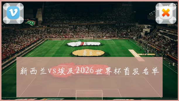 新西兰vs埃及2026世界杯首发名单