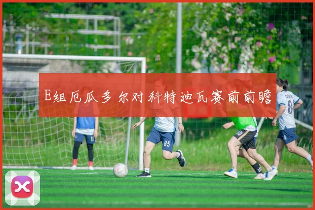 E组厄瓜多尔对科特迪瓦赛前前瞻