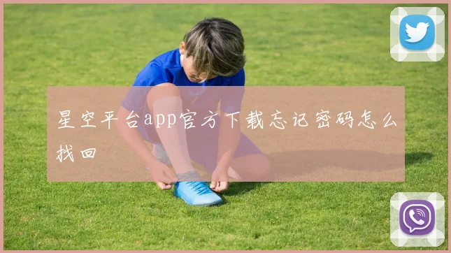 星空平台app官方下载忘记密码怎么找回