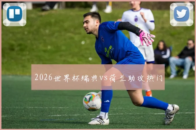 2026世界杯瑞典vs荷兰助攻热门